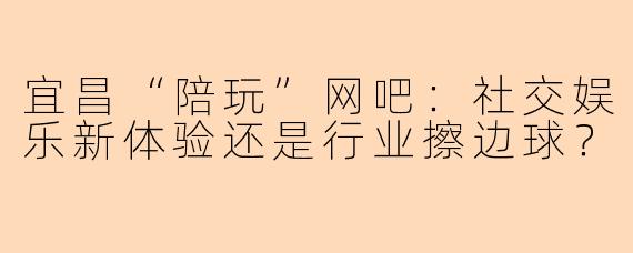 宜昌“陪玩”网吧:社交娱乐新体验还是行业擦边球?