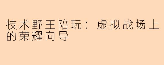 技术野王陪玩:虚拟战场上的荣耀向导