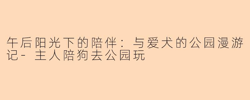 午后阳光下的陪伴:与爱犬的公园漫游记-主人陪狗去公园玩