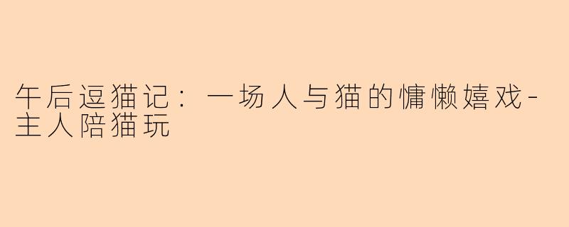 午后逗猫记：一场人与猫的慵懒嬉戏-主人陪猫玩