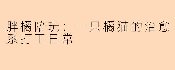 胖橘陪玩:一只橘猫的治愈系打工日常