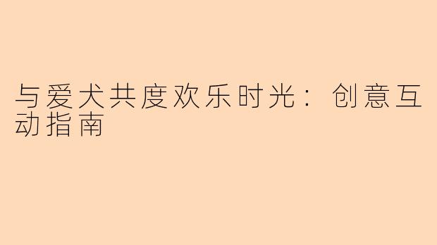 与爱犬共度欢乐时光：创意互动指南