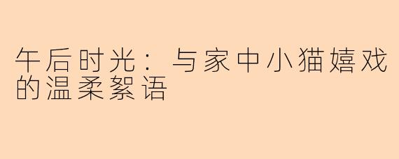 午后时光：与家中小猫嬉戏的温柔絮语