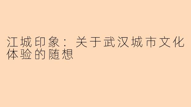 江城印象：关于武汉城市文化体验的随想