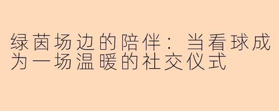 绿茵场边的陪伴：当看球成为一场温暖的社交仪式
