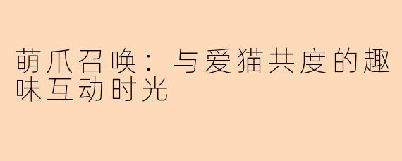 萌爪召唤：与爱猫共度的趣味互动时光