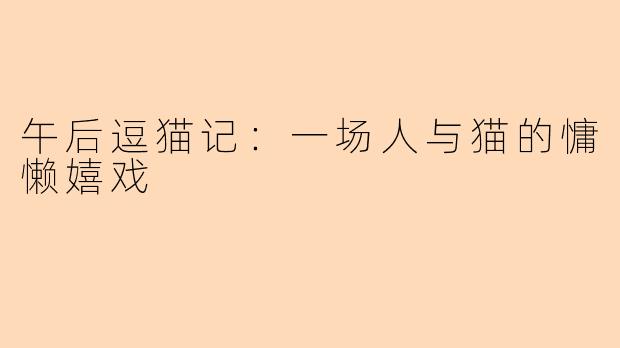 午后逗猫记：一场人与猫的慵懒嬉戏