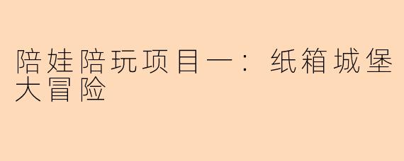 陪娃陪玩项目一：纸箱城堡大冒险