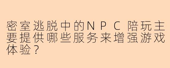 密室逃脱中的NPC陪玩主要提供哪些服务来增强游戏体验？