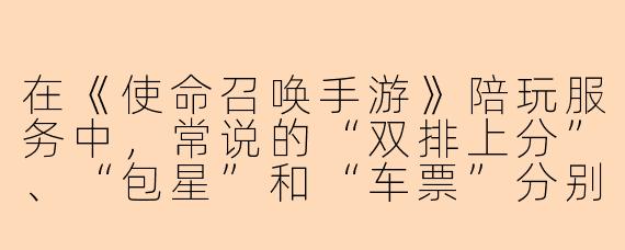在《使命召唤手游》陪玩服务中，常说的“双排上分”、“包星”和“车票”分别是什么意思？