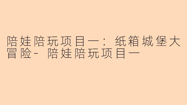 陪娃陪玩项目一：纸箱城堡大冒险-陪娃陪玩项目一