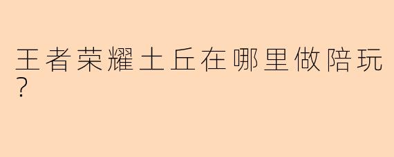 王者荣耀土丘在哪里做陪玩？