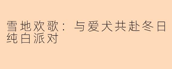 雪地欢歌：与爱犬共赴冬日纯白派对