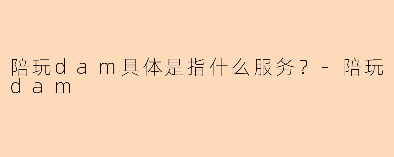 陪玩dam具体是指什么服务？