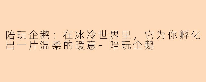陪玩企鹅：在冰冷世界里，它为你孵化出一片温柔的暖意