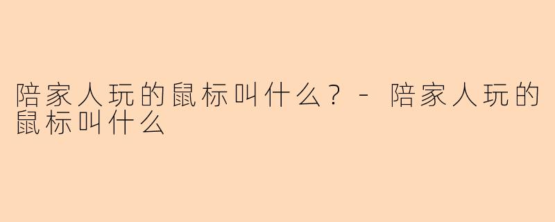 陪家人玩的鼠标叫什么？