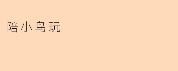 陪小鸟玩