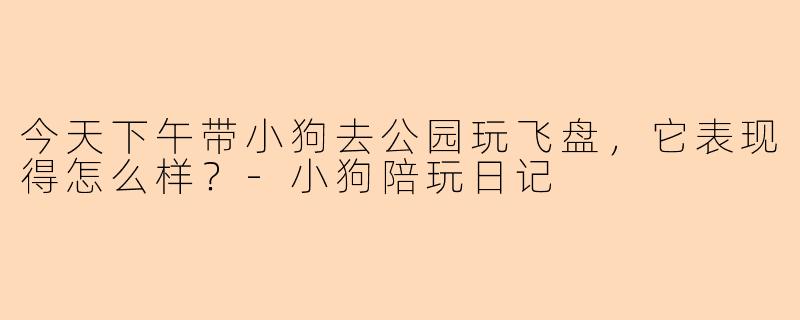今天下午带小狗去公园玩飞盘，它表现得怎么样？