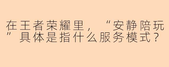 在王者荣耀里，“安静陪玩”具体是指什么服务模式？