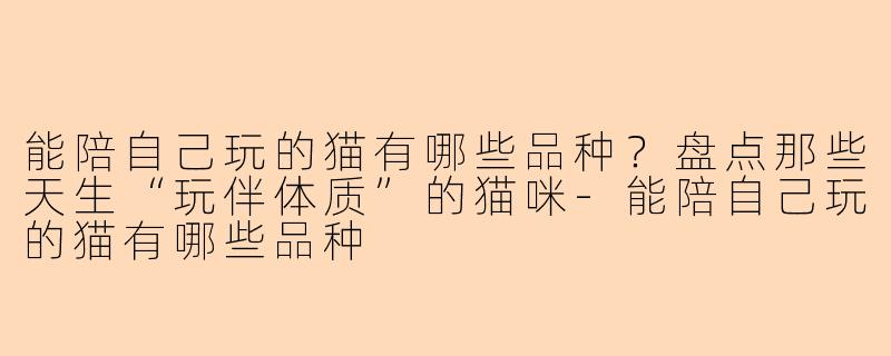 能陪自己玩的猫有哪些品种？盘点那些天生“玩伴体质”的猫咪