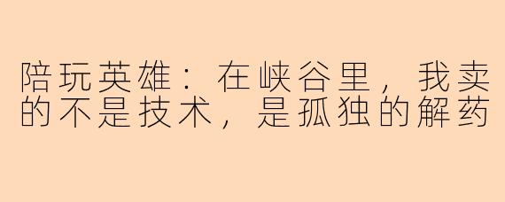 陪玩英雄：在峡谷里，我卖的不是技术，是孤独的解药