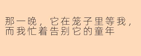 那一晚，它在笼子里等我，而我忙着告别它的童年