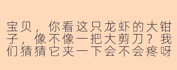 宝贝，你看这只龙虾的大钳子，像不像一把大剪刀？我们猜猜它夹一下会不会疼呀？