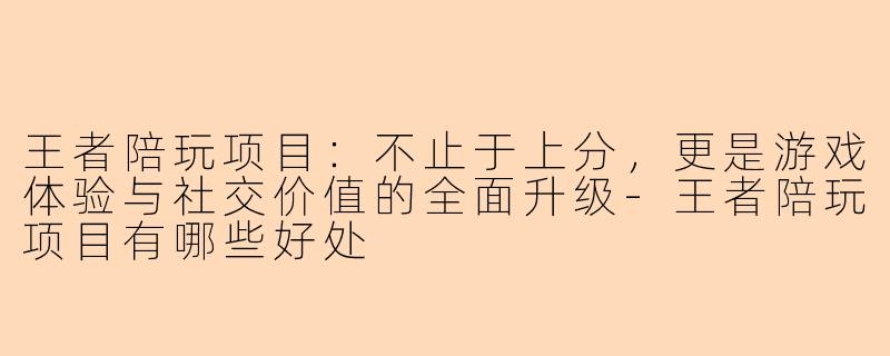 王者陪玩项目：不止于上分，更是游戏体验与社交价值的全面升级