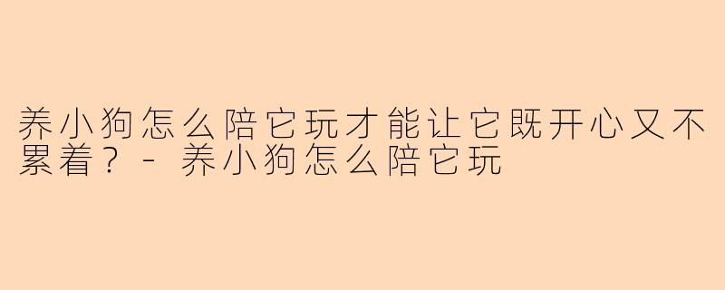 养小狗怎么陪它玩才能让它既开心又不累着？