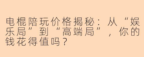 电棍陪玩价格揭秘：从“娱乐局”到“高端局”，你的钱花得值吗？