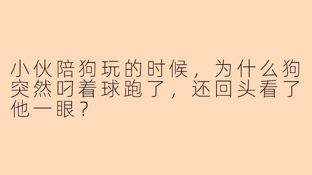 小伙陪狗玩的时候，为什么狗突然叼着球跑了，还回头看了他一眼？