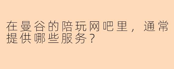 在曼谷的陪玩网吧里，通常提供哪些服务？