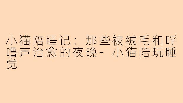 小猫陪睡记：那些被绒毛和呼噜声治愈的夜晚