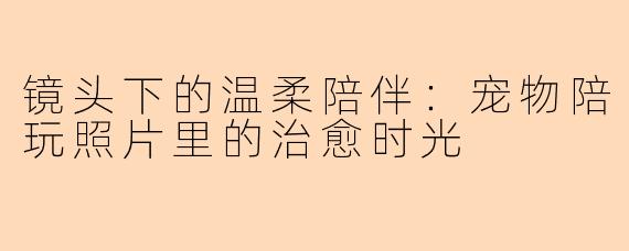 镜头下的温柔陪伴：宠物陪玩照片里的治愈时光