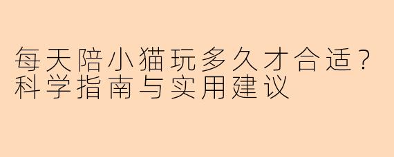 每天陪小猫玩多久才合适？科学指南与实用建议