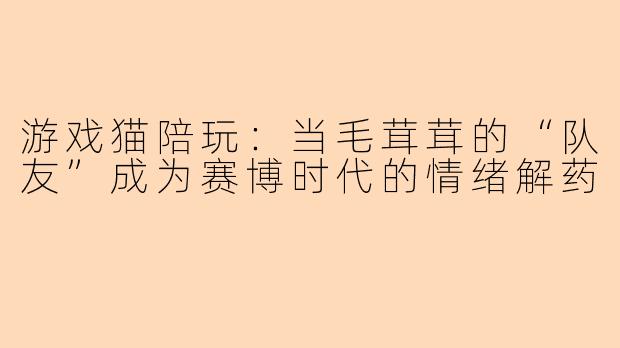游戏猫陪玩：当毛茸茸的“队友”成为赛博时代的情绪解药