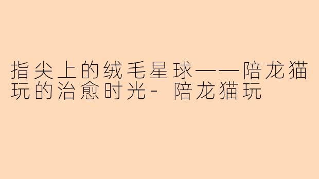 指尖上的绒毛星球——陪龙猫玩的治愈时光