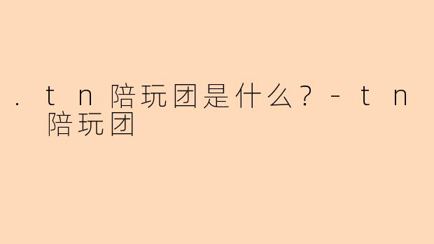 .tn陪玩团是什么？