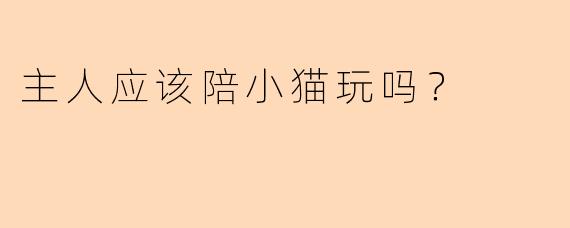 主人应该陪小猫玩吗？