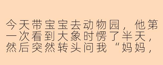 今天带宝宝去动物园，他第一次看到大象时愣了半天，然后突然转头问我“妈妈，大象的鼻子为什么那么长？”——该怎么用一句话形容这种又萌又治愈的瞬间？