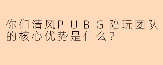 你们清风PUBG陪玩团队的核心优势是什么？