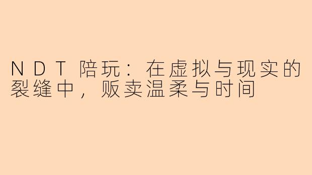 NDT陪玩：在虚拟与现实的裂缝中，贩卖温柔与时间