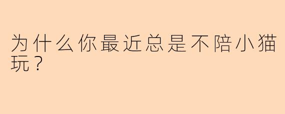 为什么你最近总是不陪小猫玩？