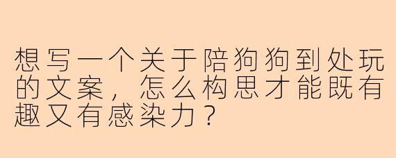 想写一个关于陪狗狗到处玩的文案，怎么构思才能既有趣又有感染力？
