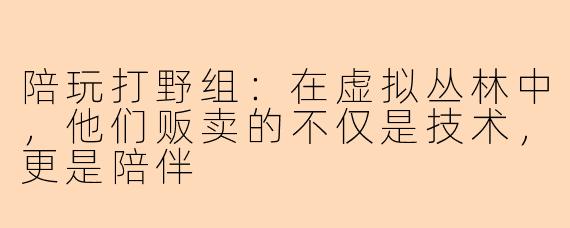 陪玩打野组：在虚拟丛林中，他们贩卖的不仅是技术，更是陪伴