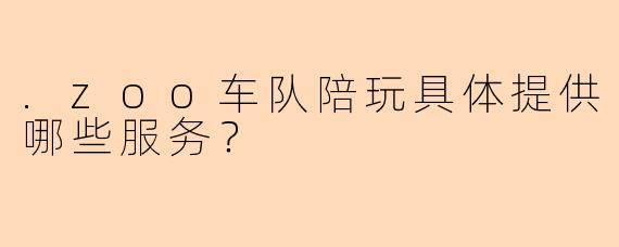 .zoo车队陪玩具体提供哪些服务？