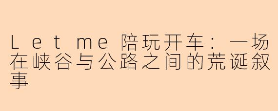 Letme陪玩开车：一场在峡谷与公路之间的荒诞叙事