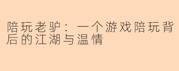 陪玩老驴：一个游戏陪玩背后的江湖与温情