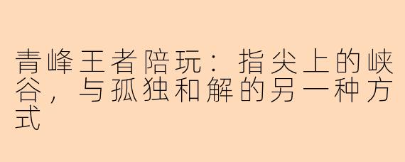 青峰王者陪玩：指尖上的峡谷，与孤独和解的另一种方式