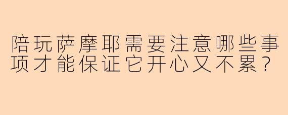 陪玩萨摩耶需要注意哪些事项才能保证它开心又不累？